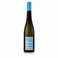 2023 Pinot Blanc, dry, 12% vol., Wittmann, ORGANIC - 750ml - Bottle
