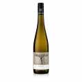 F. Becker 2022 Riesling wain putih kering QW Pfalz 0.75 l - 750ml - Botol