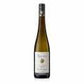 2023 Hochheimer Holle Lokasi pertama Riesling, kering, 13% vol., artis - 750ml - Botol
