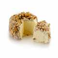 Kolmoiskerma pahkinalla, juustovalmiste (Brillat Savarin tyyppi), Girard - 200g - Rakkuloja