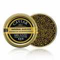 Imperialni vyberovy kaviar, krizenec jesetera Amur x Kaluga (schrenckii x dau), Cina - 125 g - umet
