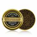 Cisarsky vyberovy kaviar Kaluga (Huso dauricus) - 125 g - muze