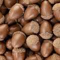 Acorn dengan penutup, diperbuat daripada coklat, 35x23mm, Dobla (77080) - 210g, 40 keping - lepuh