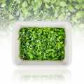 pakirano z mikrozelenjem ShisoGreens, mladi listi/sadike - 25 g - PE lupina