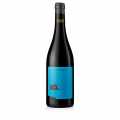 Blaufrankisch 2022, sec, 12,5% vol., Judith Beck, BIO - 750 ml - Bouteille