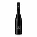 2022 Pinot Noir R QW, suche, 12,5 % obj., Rebholz, BIO - 750 ml - Lahev