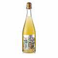 2021 Petillant Naturel Fume freydhivin, brut nature, 12% rummal, stal - 750 ml - Flaska