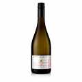 Hakuna Matata, sumive vino, 10,5 % obj., Motzenbacker, BIO - 750 ml - Lahev