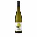 2024 Grauburgunder QW, suche, 12,5 % obj., Hofmann, BIO VEGAN - 750 ml - Lahev
