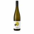 2023 Sauvignon Blanc, suchy, 12,5 % obj., Hofmann, BIO VEGAN - 750 ml - Lahev