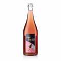 2021 White Pet Nat, sumive vino, suche, 11,5 % obj., Leon Gold - 750 ml - Lahev