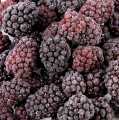 Manaferra te plota - 10 kg - cante