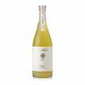 Pat Nat Dion, sec, 12 % vol., Georg Schmelzer, biologique - 750 ml - Bouteille