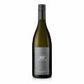 2023 Veltlinske zelene Bursting, suche, 13 % obj., Ebner-Ebenauer, bio - 750 ml - Lahev