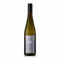 2023 Veltlinske zelene Poysdorf, suche, 12 % obj., Ebner-Ebenauer, bio - 750 ml - Lahev