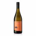 2024 Pinot Blanc, suche 12 % obj., Judith Beck, bio - 750 ml - Lahev