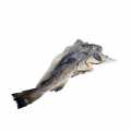 Klippfiskur - Bacalao / Bacalhau, thurrkadhur - u.th.b. 1,5 kg - kvikmynd