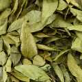 Currybladeren, gedroogd, biologisch - 100 gram - tas