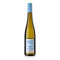 2024 Ryzlink rynsky Estate QW, suche, 11,5 % obj., Wittmann, bio - 750 ml - Lahev