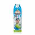 Aigua de coco Dr.Goerg, ecologica - 1 l - Tetra Pak Aigua de coco Dr.Goerg, ecologica - 1 l - Tetra Pak