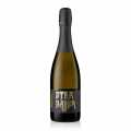 Sumive vino Stargazer Blanc a Noir, extra brut, 12,5 % obj., Schott - 750 ml - Lahev