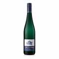 2024 Riesling QW, toerr, 12 % vol., Dr. Loosen - 750 ml - Flaske