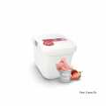 Smetanova zmrzlina - jahodovy sorbet, veganska - 2,5 l - PE skorepina
