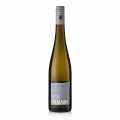2024er Freiraum Silvaner QW, trocken, 12 % vol., R. Sauer, BIO - 750 ml - Flasche
