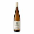 2023er Grauburgunder QW, trocken, 12 % vol, Scheuermann, BIO - 750 ml - Flasche