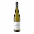 2024er dari Stein Sauvignon Blanc QbA, kering, 11,5% vol., Gunderloch, organik - 750 ml - Botol