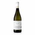 2023er ARAJS Roero Arneis DOCG Weißwein, trocken, 13,5 % vol., Pedemontis - 750 ml - Flasche