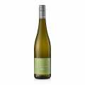 2025 Pinot Gris QW, dry, 12% vol., Baeder, organic - 750 ml - Bottle 2025 Pinot Gris QW, dry, 12% vol., Baeder, organic - 750 ml - Bottle
