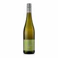 2025 Riesling QW, dry, 12% vol., Baeder, organic - 750 ml - Bottle 2025 Riesling QW, dry, 12% vol., Baeder, organic - 750 ml - Bottle