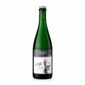 2023 Pet Nat Saints Blanc de Noir penina, suha, 10,5 % vol., G.Heinrich BIO - 750 ml - Steklenica