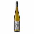 2025 Am Berg Gruner Veltliner QW, kering, 12% vol., Ott, organik - 750 ml - Botol