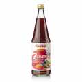 Voelkel 7 patuljaka visestruki vocni sok, organski veganski - 700 ml - Boca