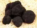 Truffel Winterfijne truffel vers uit Italie, knol melanosporum, knollen vanaf ca. 30 g, van december tot maart (DAGELIJKSE PRIJS) - per gram - -
