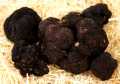Truffle Winter-Edeltrüffel fresh from Spain, tuber melanosporum, tubers from about 30g, from Nov. to March (DAILY PRICE) - per gram - -