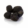 Trøffel Winter-Edeltrüffel - Knol Melanosporum EXTRA, frisk, fra Australien, knolde fra ca. 30g, tilgængelig fra juni til august (DAGLIG RATE) - pr. gram - -