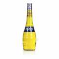 Bols Yellow Banana, minuman keras pisang kuning, 17% vol. - 700ml - Botol