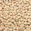 Linzen, groen, laird, biologisch - 1 kg - zak