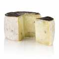 Pecorino Tartuffo Premium, sheep`s cheese with truffle, spicy, matured for 5 months - about 650 g - vacuum
