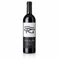 2012er Amon Ra, Shiraz, oak, dry, 15.5% vol., Ben Glaetzer - 750 ml - bottle